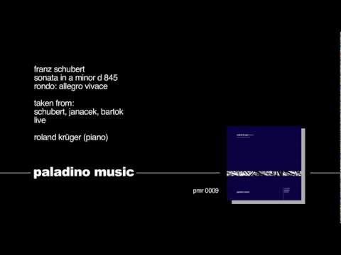 Preview image for the video "Roland Krüger: The Hanover Concert". Preview image for the video "Roland Krüger: The Hanover Concert".